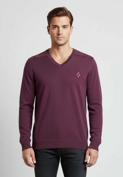 Burlington Pullover της σειράς V Neck - 61201 6955 Purple