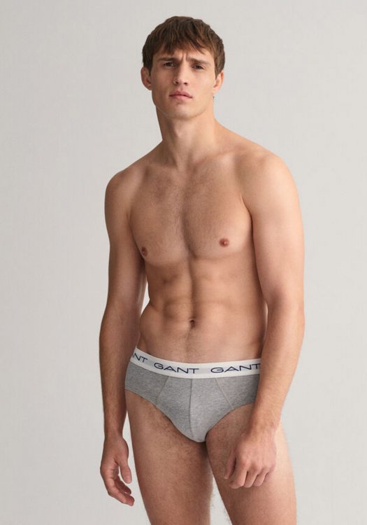 GANT Pack 3 Boxers της σειράς Briefs - 900013001 093 Grey Melange