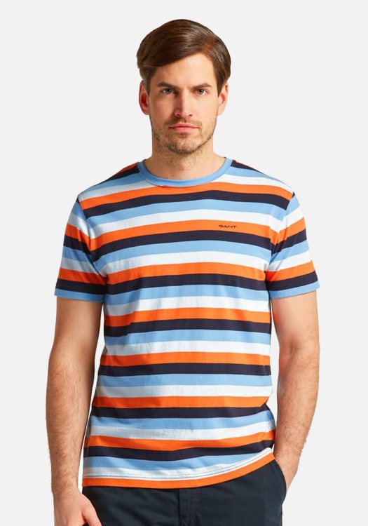 GANT Μπλούζα της σειράς Multi Striped - 2003169 105 Multicolor